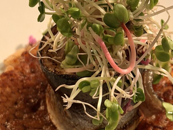 Japan photograph 135